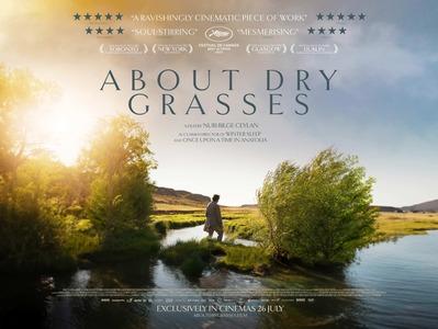 boom reviews about dry grasses