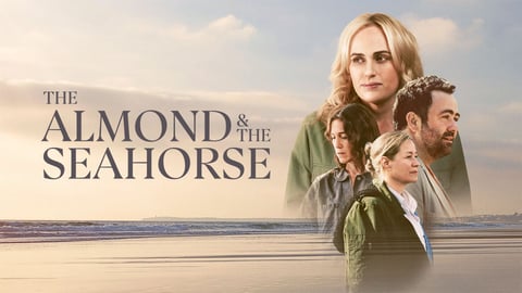 boom reviews - the almond and the seahorse