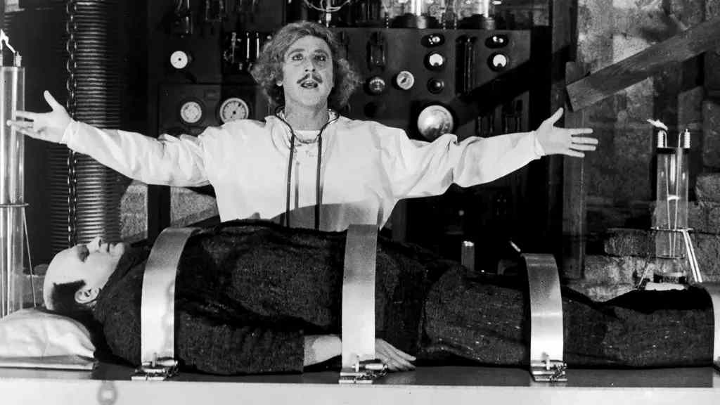 boom reviews Young Frankenstein