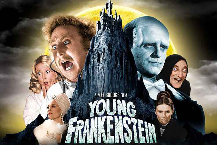 boom reviews - young frankenstein